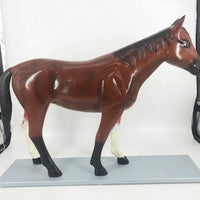 Modelo de caballo para MVZ Desmontable