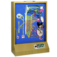 Simulador de Nervio autónomo