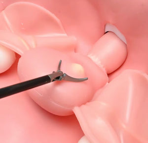 Simulador Uterino histeroscopia  utero endoscopia