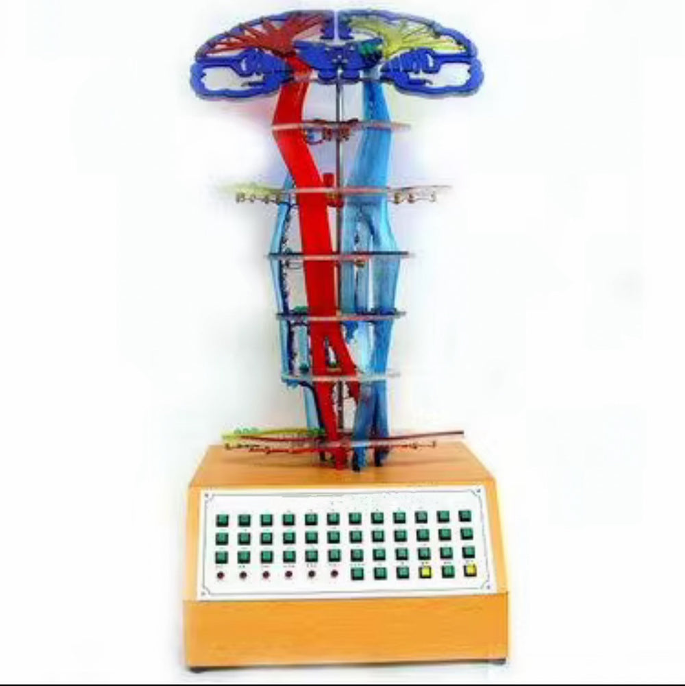 Simulador conducción nerviosa eléctrica