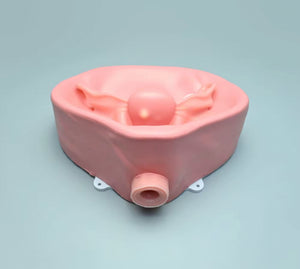 Simulador Uterino histeroscopia  utero endoscopia