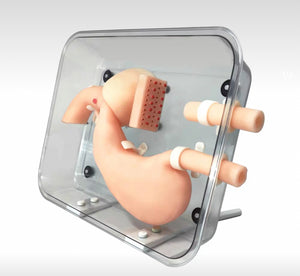 Modelo de entrenamiento de gastroscopia entrenamiento lateral de gastroduodeno