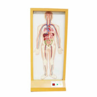 Simulador Electrónico de Sistema Circulatorio