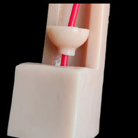 Modelo de anastomosis ureteral vejiga uretra