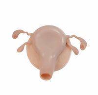 Simulador Uterino histeroscopia  utero endoscopia
