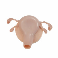 Simulador Uterino histeroscopia  utero endoscopia