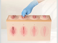 Modelo anatomico de vagina, modelo de comparacion de estanqueidad/estrechez  vaginal
