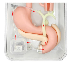 simulador de endoscopia ERCP Cirugía de gastroscopia duodenoscopia