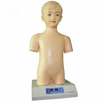 Simulador de auscultación cardiopulmonar pediatrico