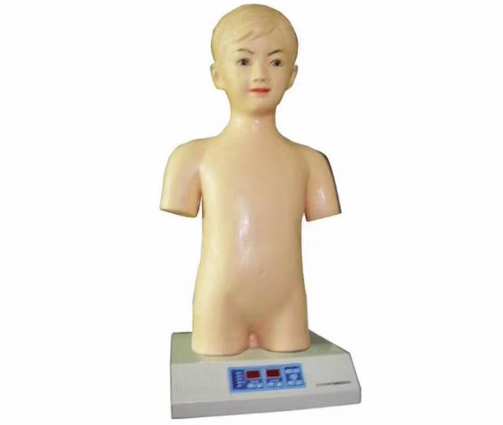 Simulador de auscultación cardiopulmonar pediatrico