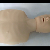 Simulador reanimación cardiopulmonar CPR simple RCP rescate