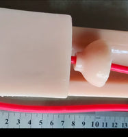 Modelo de anastomosis ureteral vejiga uretra

