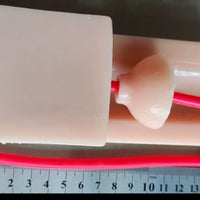 Modelo de anastomosis ureteral vejiga uretra