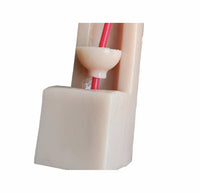Modelo de anastomosis ureteral vejiga uretra
