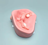 Simulador Uterino histeroscopia  utero endoscopia
