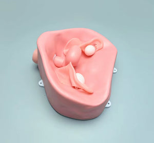 Simulador Uterino histeroscopia  utero endoscopia