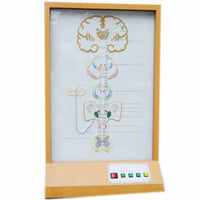 Simulador eléctrico neuronal del sentido del Gusto