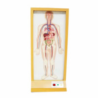 Simulador Electrónico de Sistema Circulatorio