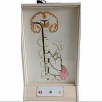 Simulador eléctrico neuronal del sentido del Gusto