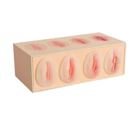 Modelo anatomico de vagina, modelo de comparacion de estanqueidad/estrechez  vaginal
