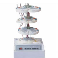 Simulador de lesión medula espinal