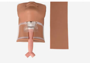 Simulador traqueal de cricotromia traquea