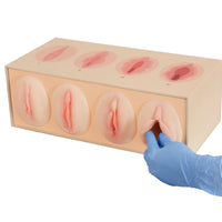 Modelo anatomico de vagina, modelo de comparacion de estanqueidad/estrechez  vaginal