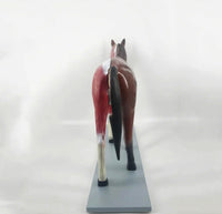 Modelo de caballo para MVZ Desmontable
