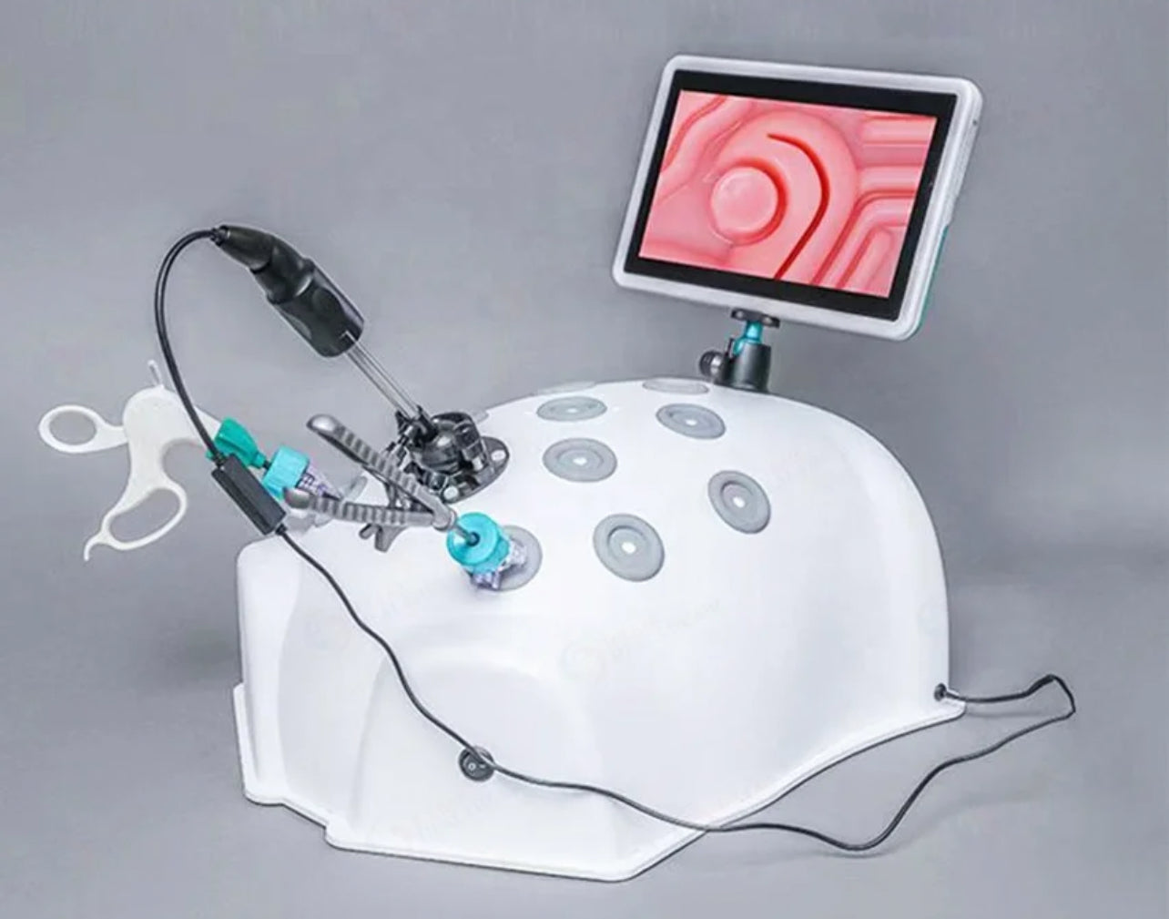 Cavo paziente per ecg Cardioline Delta (tutti i modelli) con terminale Cavo paziente per ecg Cardioline Delta (tutti i modelli) con terminale