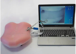Simulador endoscopia columna humana espalda laparascopia