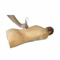 Simulador de Nefroscopia percutánea guiada por ultrasonido rayos X Avanzado