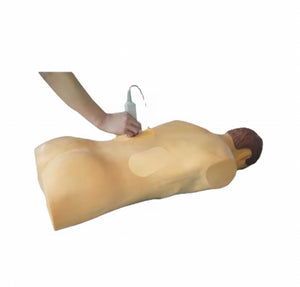 Simulador de Nefroscopia percutánea guiada por ultrasonido rayos X Avanzado