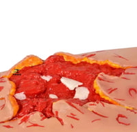 Simulador heridas trauma hemorragia emergencias
