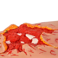 Simulador heridas trauma hemorragia emergencias