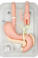 Simulador duodenal endoscopia estomago duodeno gastro
