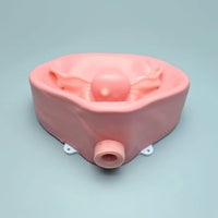 Simulador Uterino histeroscopia  utero endoscopia