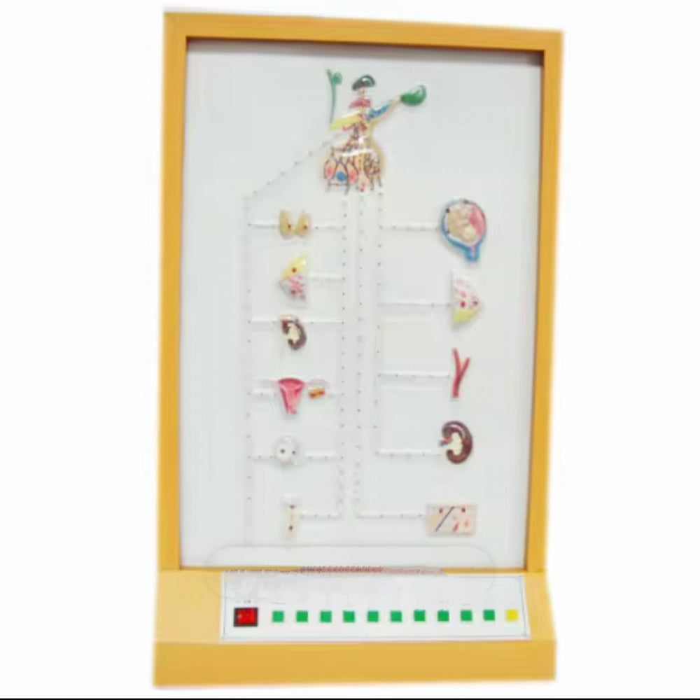 Simulador eléctrico orgasmo homonal hopotalamo y pituitaria