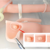 simulador de endoscopia ERCP Cirugía de gastroscopia duodenoscopia