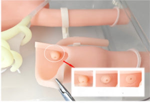 simulador de endoscopia ERCP Cirugía de gastroscopia duodenoscopia