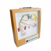 Simulador eléctrico del modelo del nervio espinal