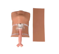 Simulador traqueal de cricotromia traquea
