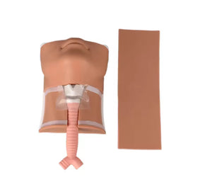Simulador traqueal de cricotromia traquea