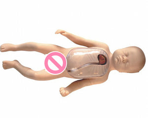 Simulador Neonatal De Intubacion Venosa Central bebé pediatría