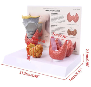 Patologia de tiroides