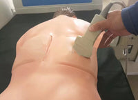Simulador de Nefroscopia percutánea guiada por ultrasonido rayos X Avanzado
