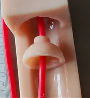 Modelo de anastomosis ureteral vejiga uretra
