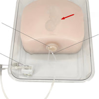 Simulador puncion en cordon umbilical ultrasonido amniocentesis