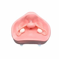 Simulador Uterino histeroscopia  utero endoscopia