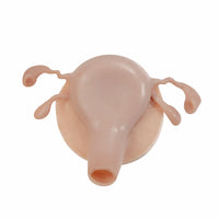 Simulador Uterino histeroscopia  utero endoscopia