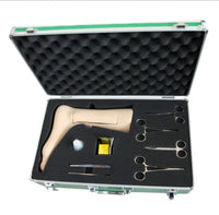 Modelo de Flebotomia -pie
